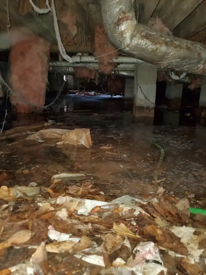 Crawl space flood assessment for Leak Detection & Repair in Howell