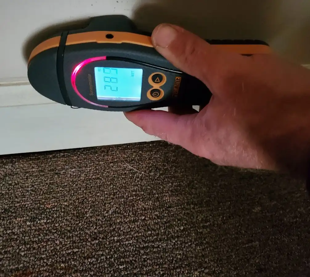 Moisture detection at baseboard during Sewage Cleanup & Sanitation in Howell
